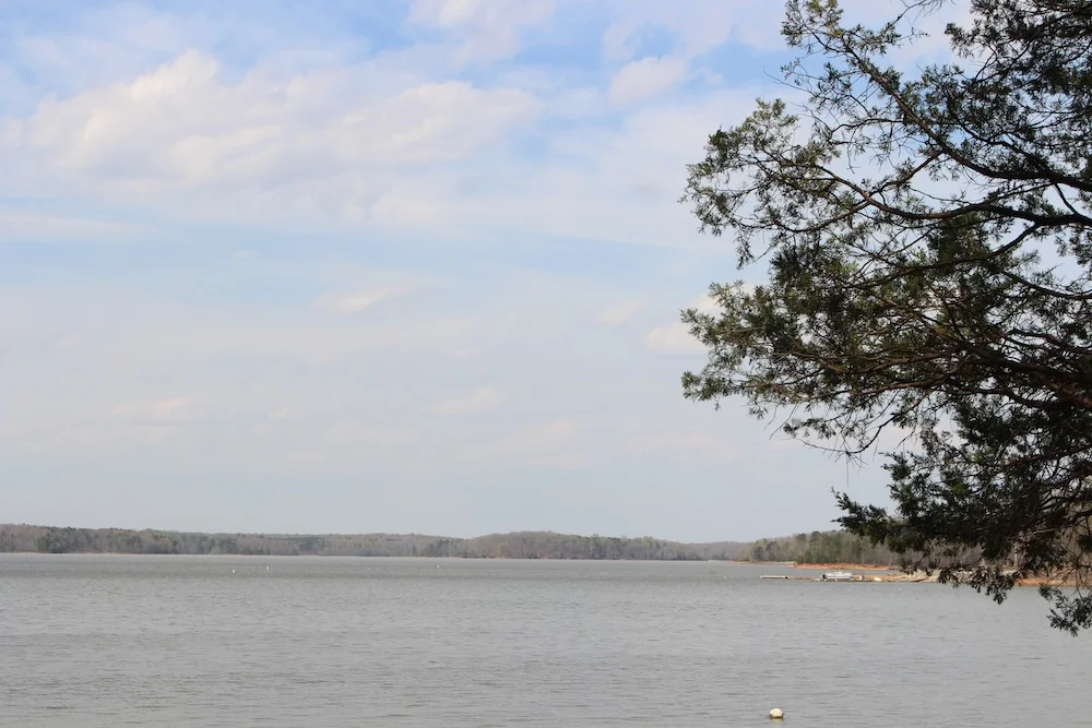 Clarksville Property Management